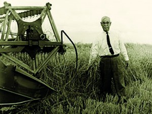 Keisaburo inspects the harvesting of mature rice, circa the late 1950's. Photo courtesy of Koda Farms