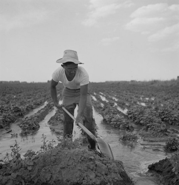 New Traveling Exhibit ‘Uprooted’ Will Tell the Story of JA Farm Labor Workers