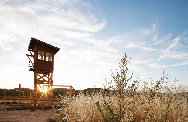 Telling the Heart-Wrenching Tale of the Heart Mountain Internment Camp