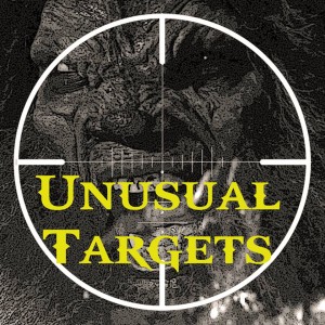 “Unusual Targets” takes place in the afterhours of downtown Los Angeles and is the only YouTube Web series starring an API hero.