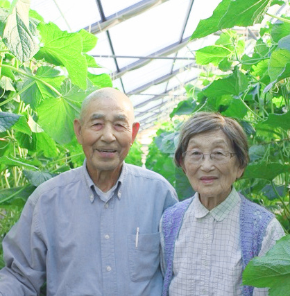 Hikari Farms: Reinventing the World One Cucumber at a Time